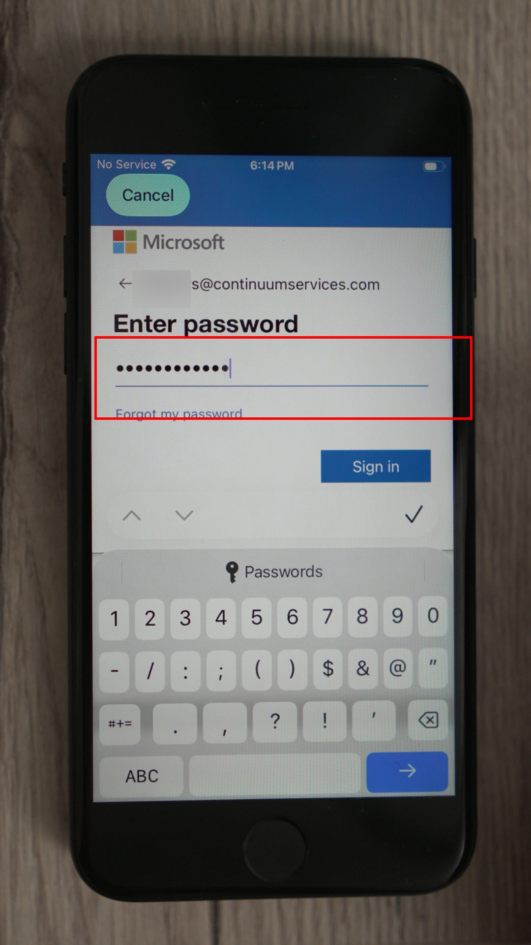 Password entry